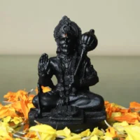 Hanumanji Black